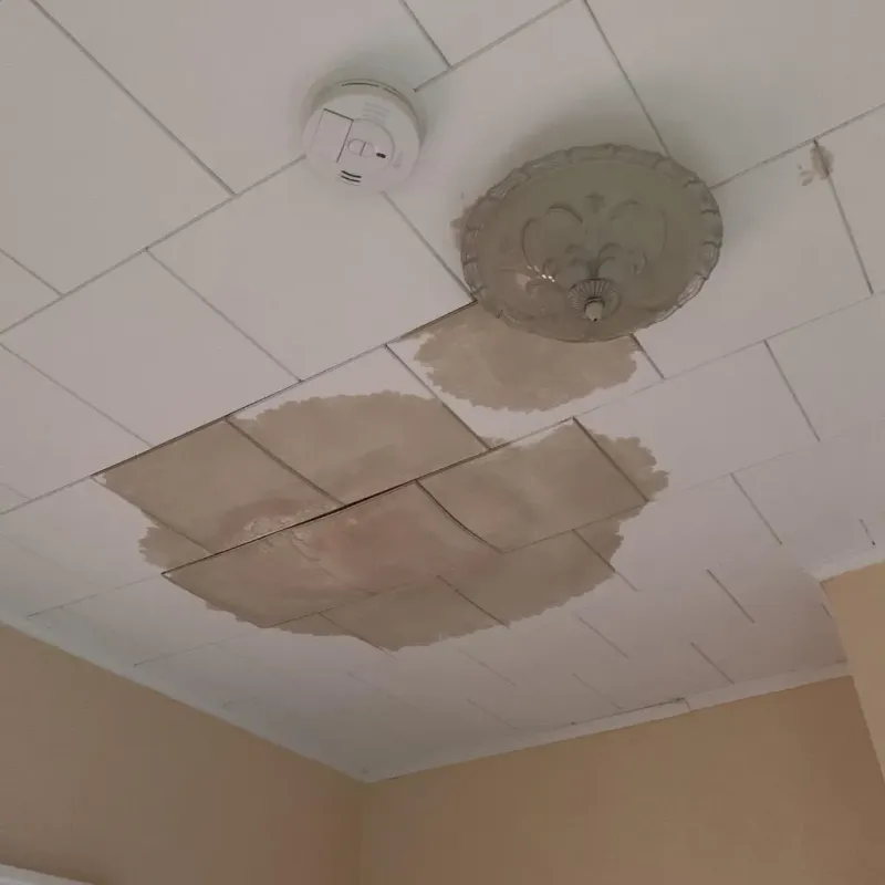 Ceiling Water Damage Repair in Buchanan County, MO