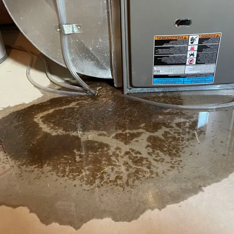 Pipe Burst and Leak Restoration in Buchanan County, MO