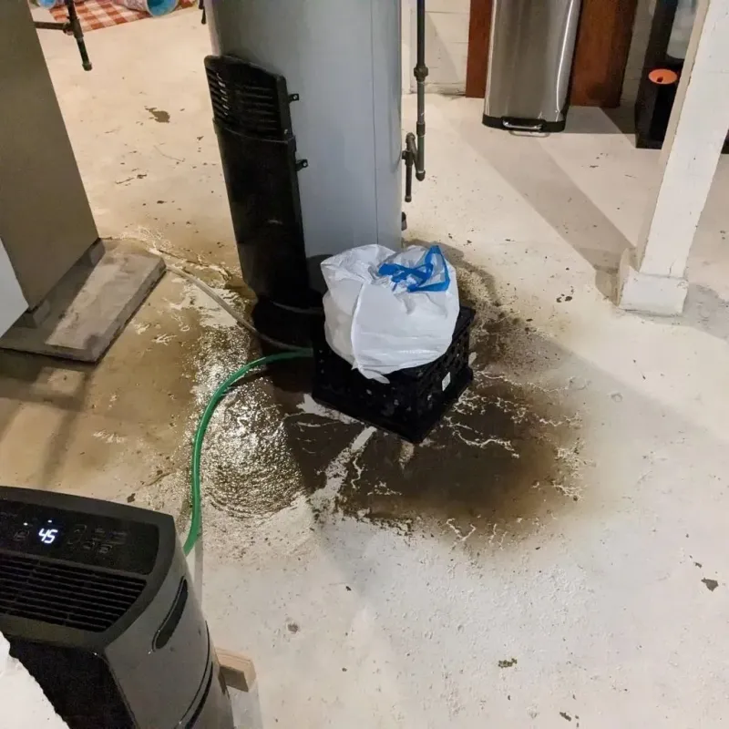 Sewage Backup Cleanup Service in Buchanan County, MO